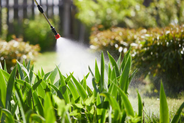 24/7 Emergency Mosquito Control experts in Henderson, KY