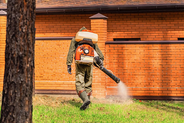 Top rated local Mosquito Control specialists in Henderson, KY